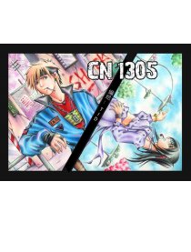 CN1305