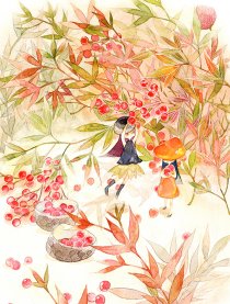 奥尔南多生物研究手册