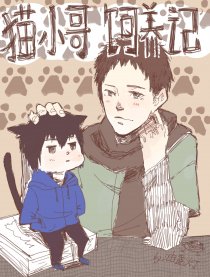 猫小哥饲养记