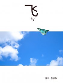 飞