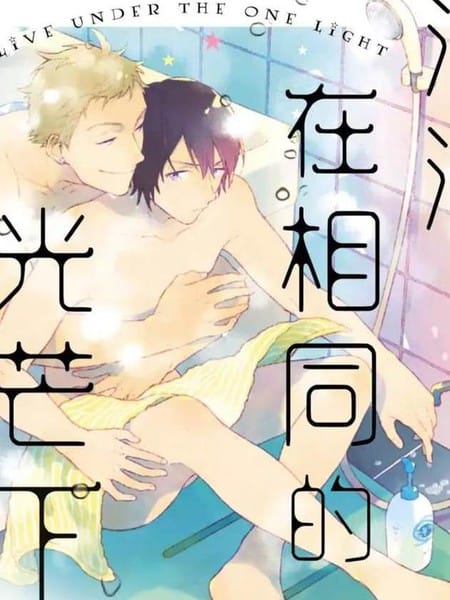 沐浴在相同的光芒下